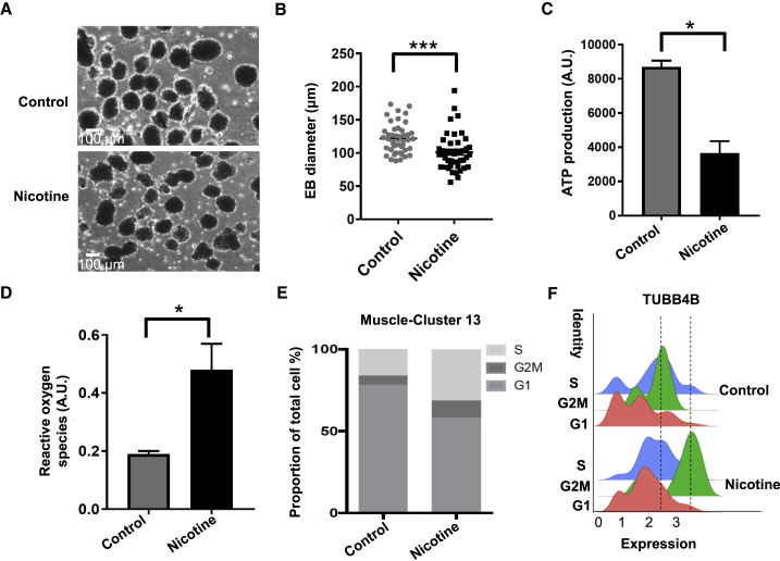 Figure 3