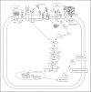 Fig. 3