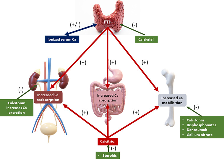 Figure 1