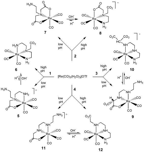 Scheme 1