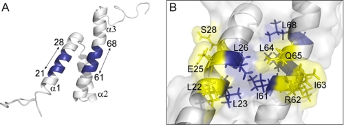 FIGURE 7.