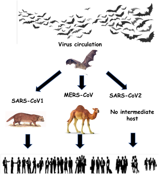 Fig 5