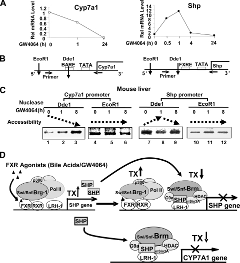 FIG. 7.