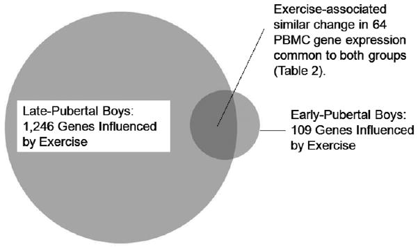 Figure.3