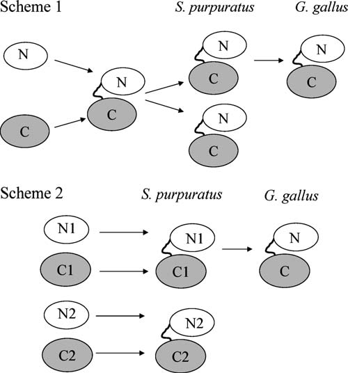 FIG. 4.