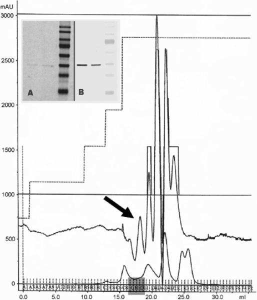 Fig. 5