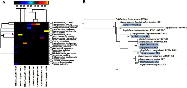 FIG 6