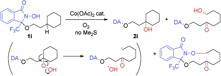 Scheme 2