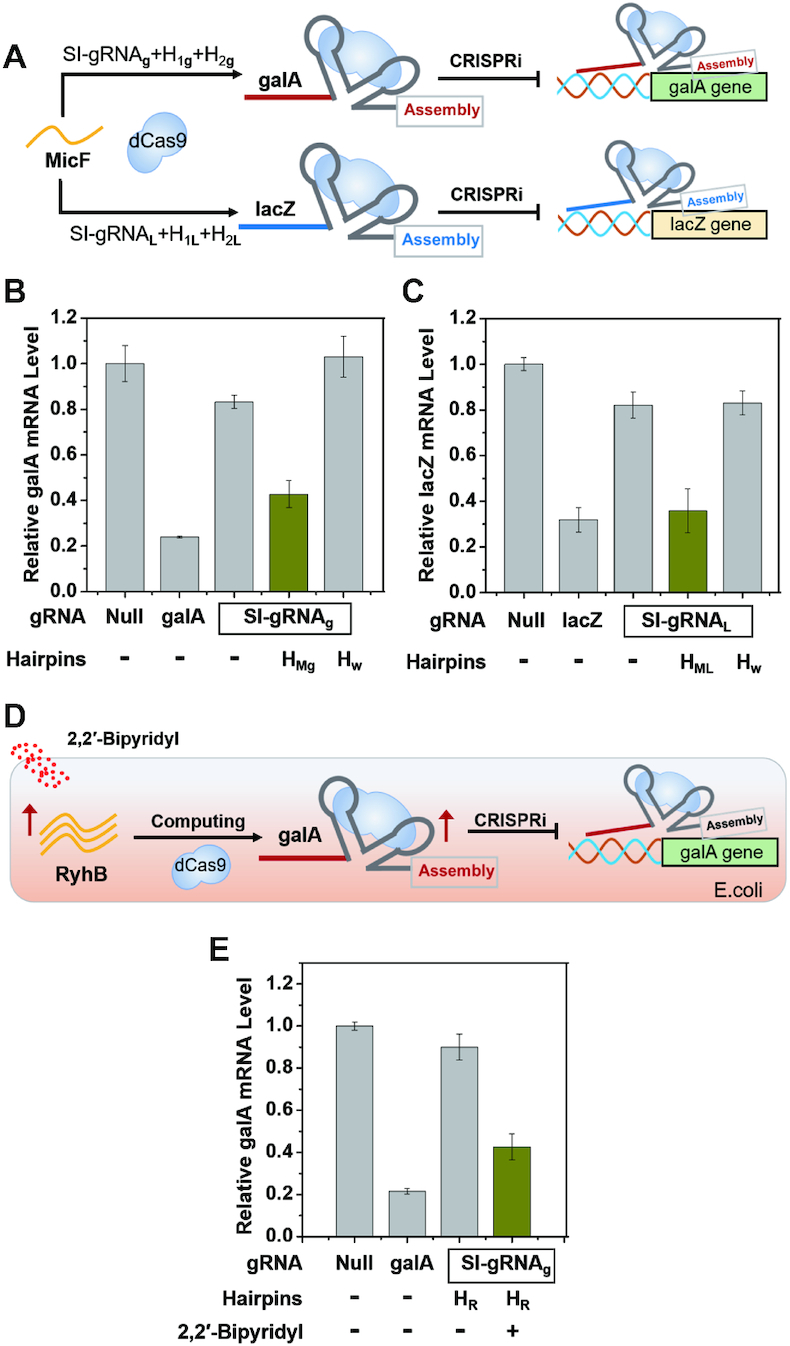 Figure 5.