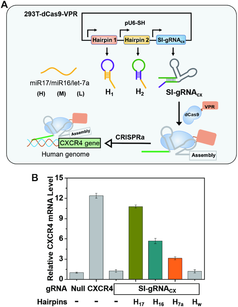 Figure 6.