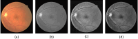 Fig. 7.