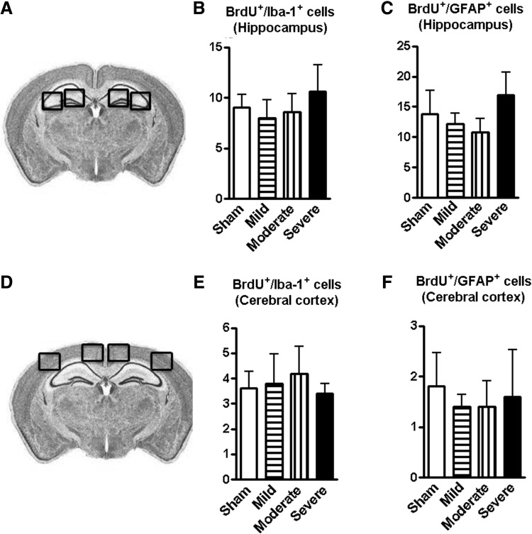 FIG. 9.