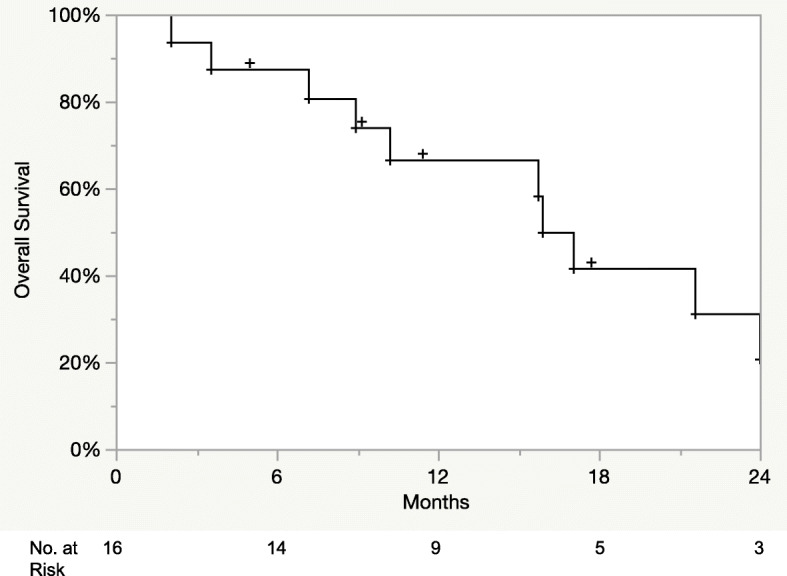 Fig. 2