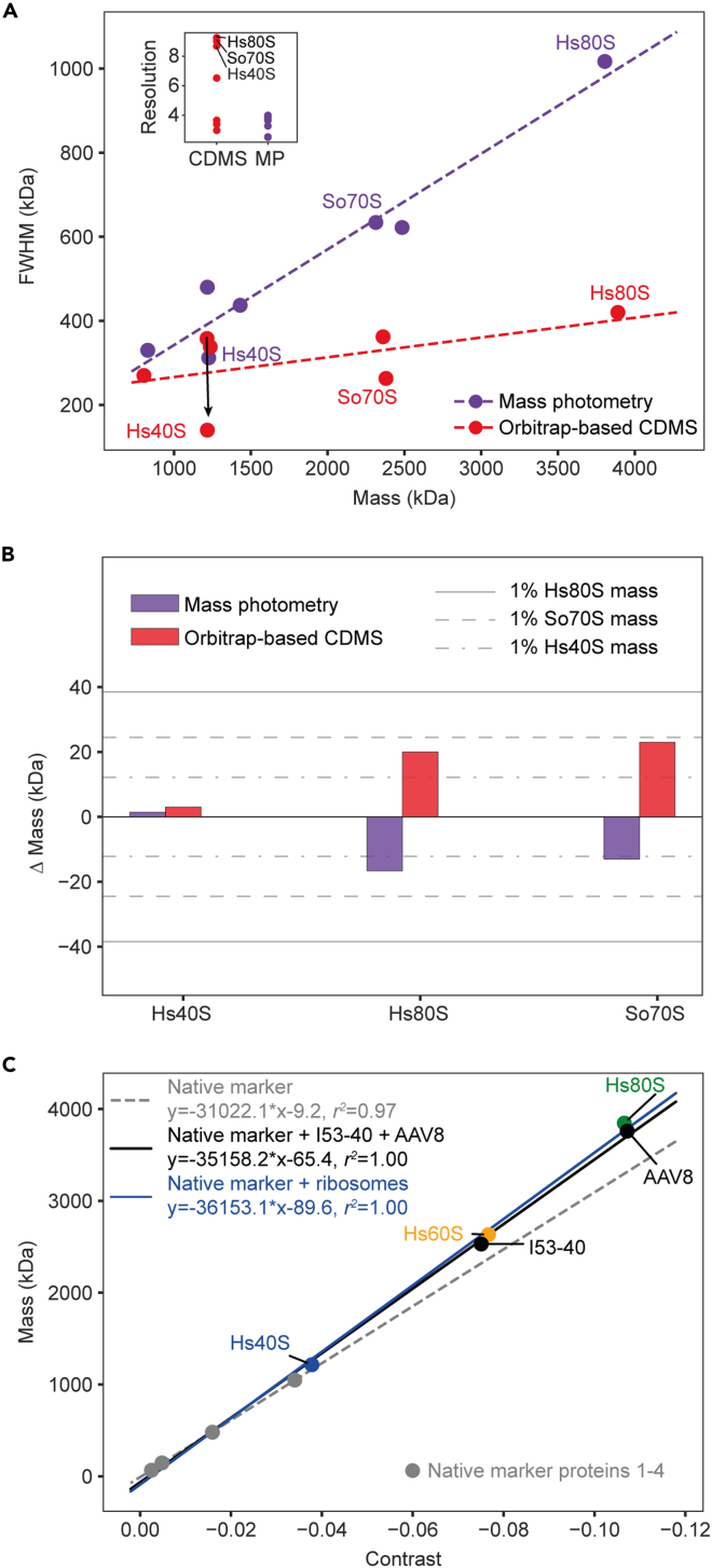 Figure 4