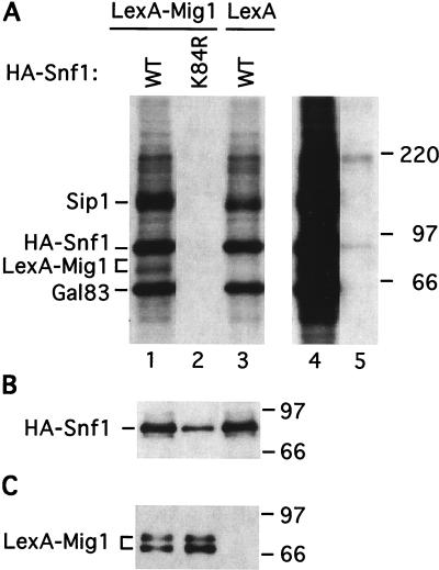 FIG. 4