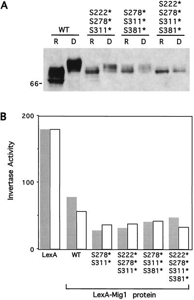 FIG. 5