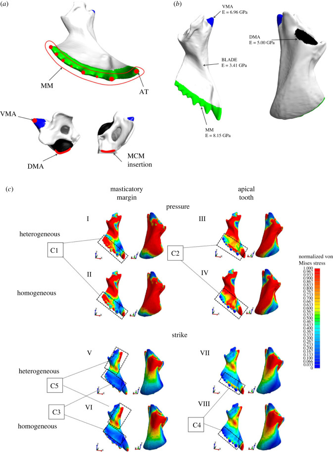 Figure 5. 