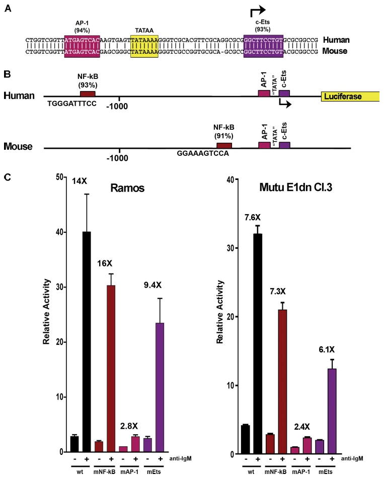 FIGURE 3