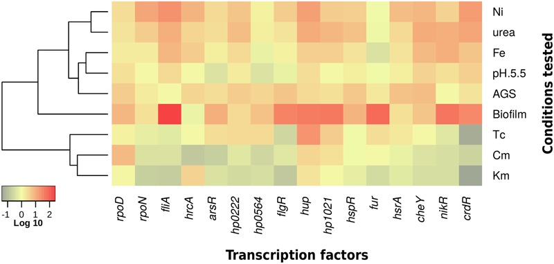 FIGURE 4