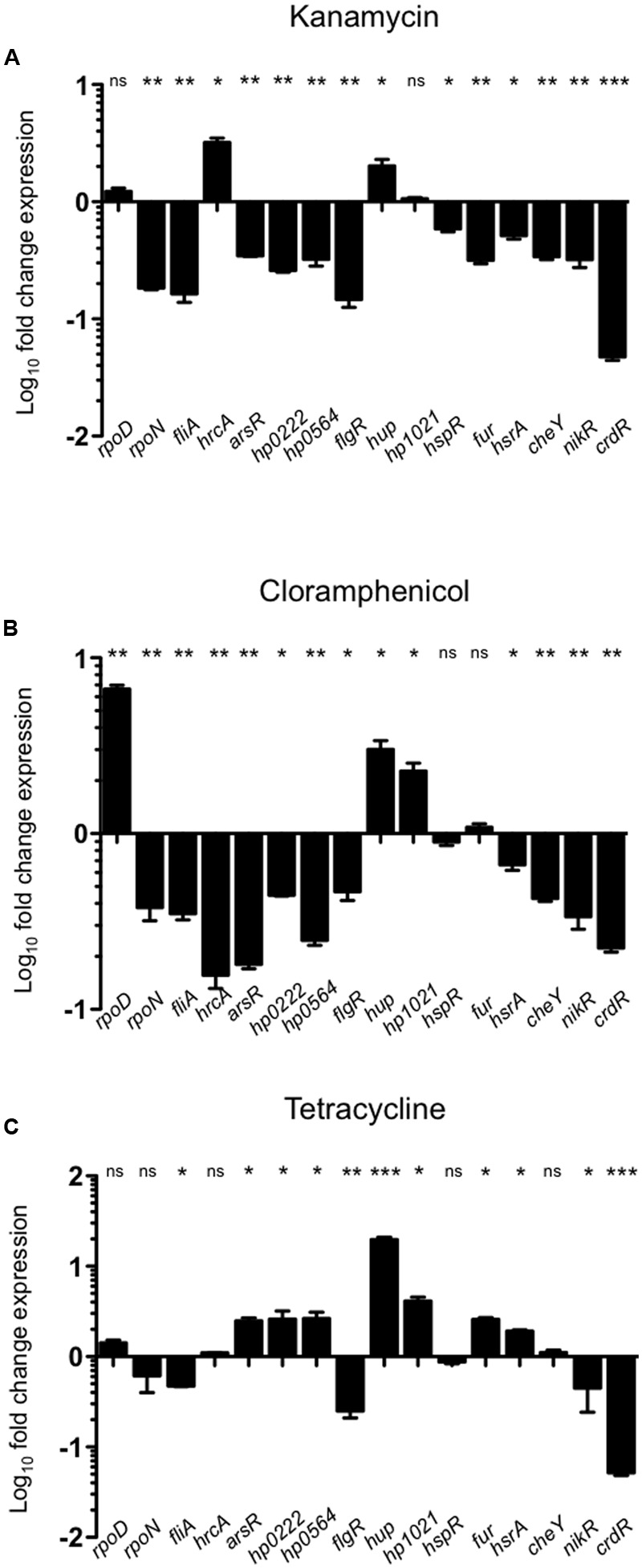 FIGURE 3