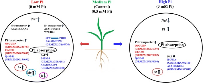 Fig. 11