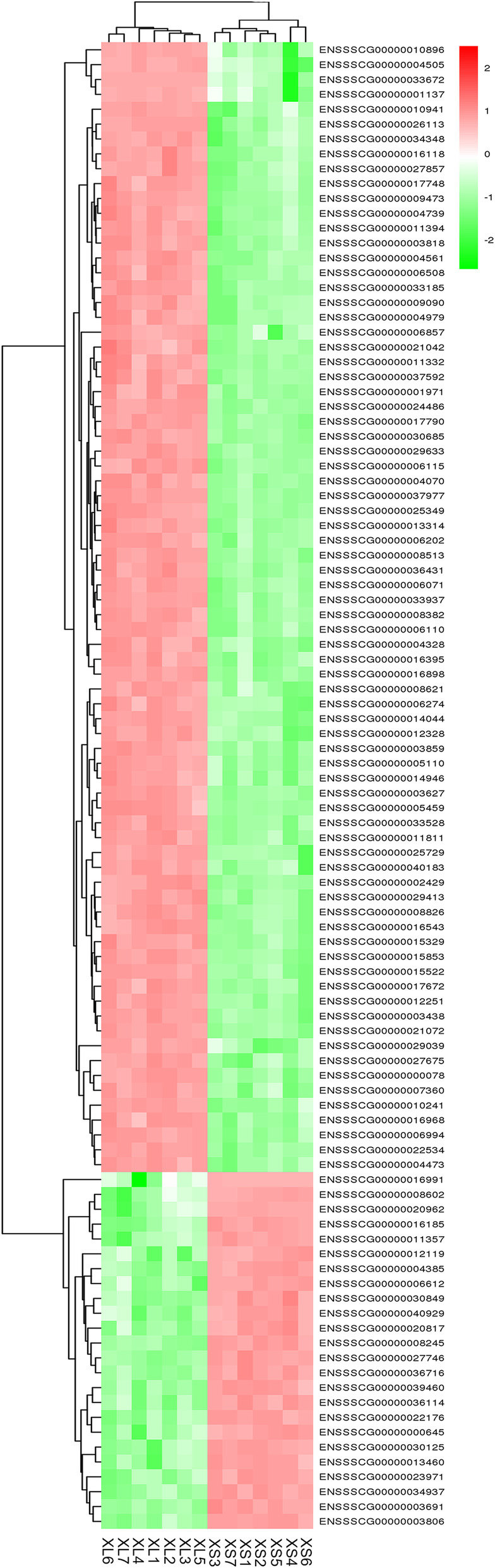 Fig. 3