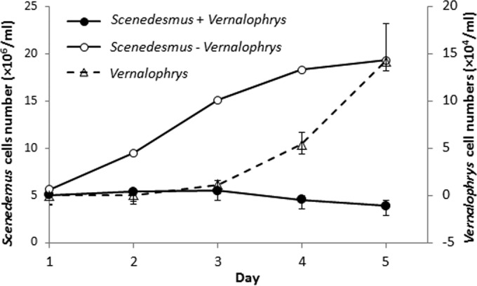 FIG 1