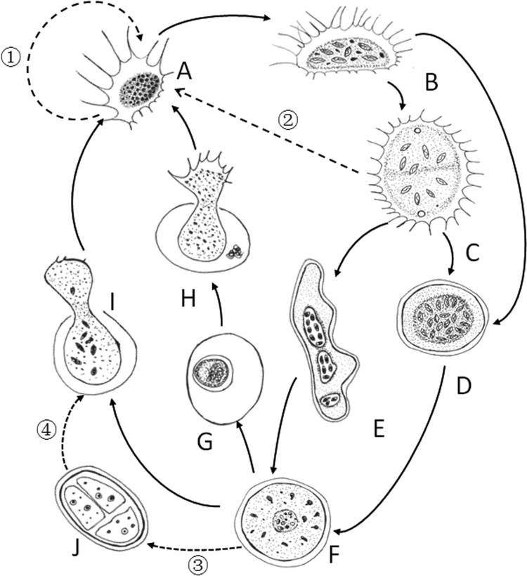 FIG 9