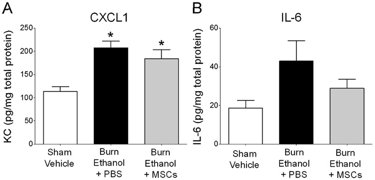 Fig 3.