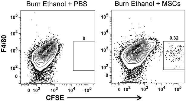 Fig 1.