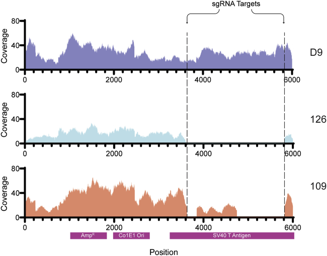 Figure 3