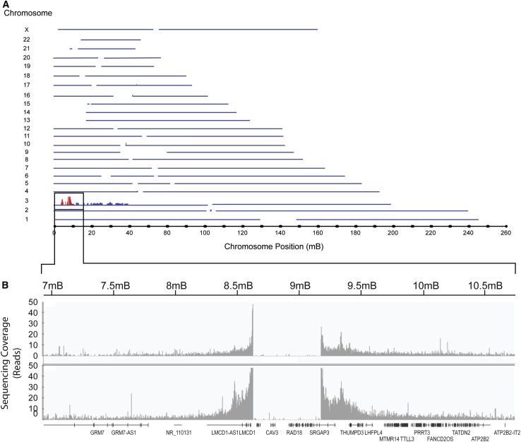 Figure 4