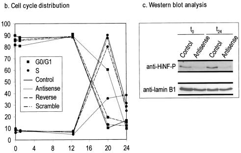 FIG. 8.