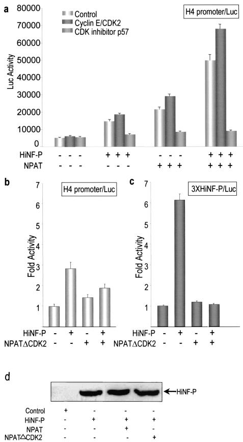 FIG. 7.