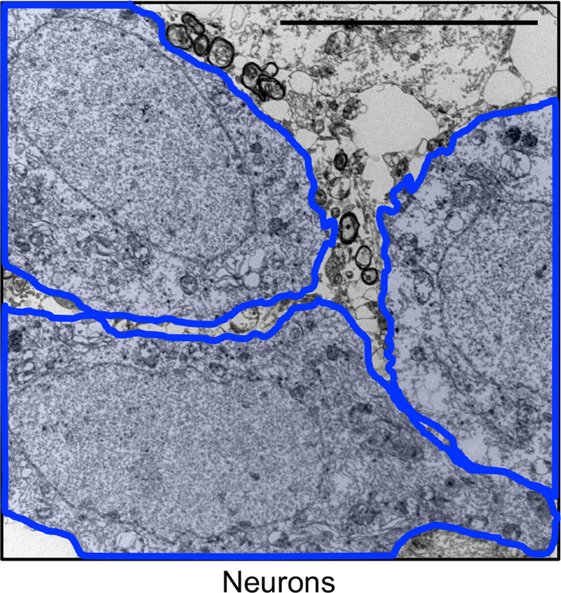 Extended Data Figure 3.