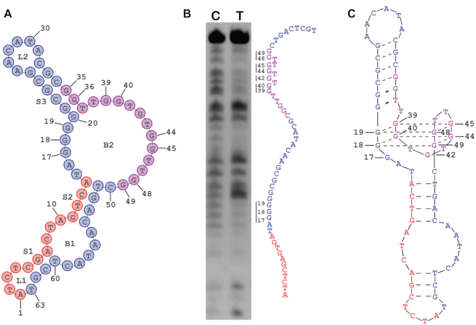 Figure 4.