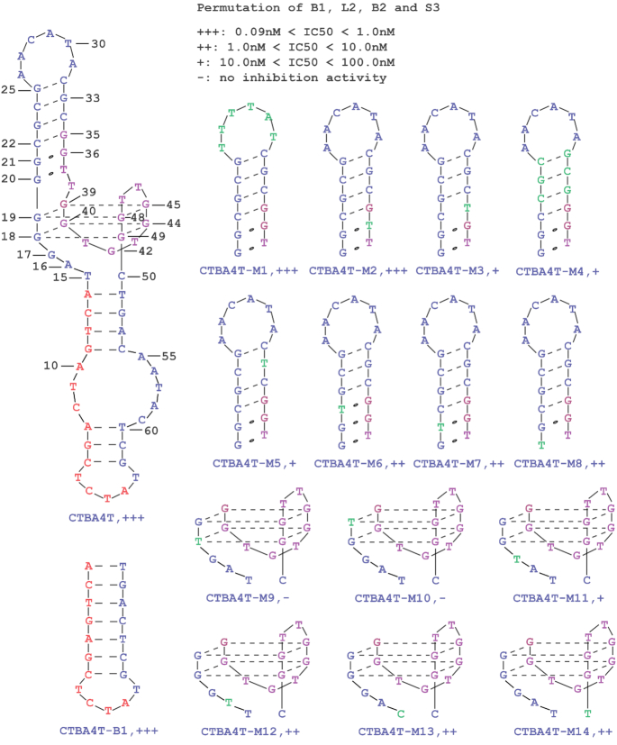 Figure 5.