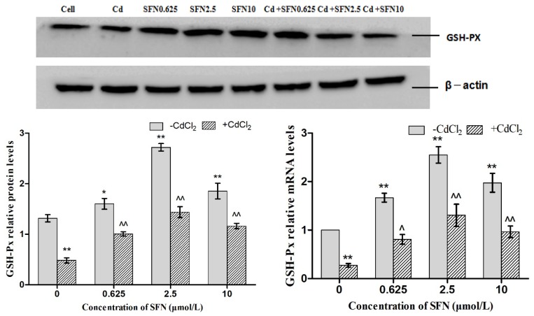 Figure 11