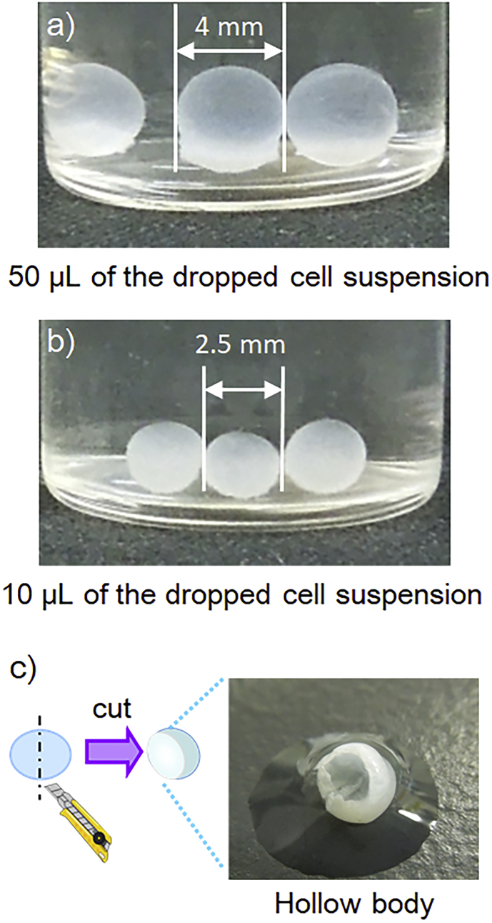 Fig. 4