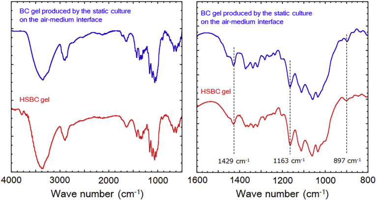 Fig. 7