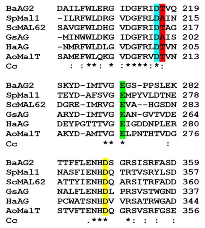 Figure 2