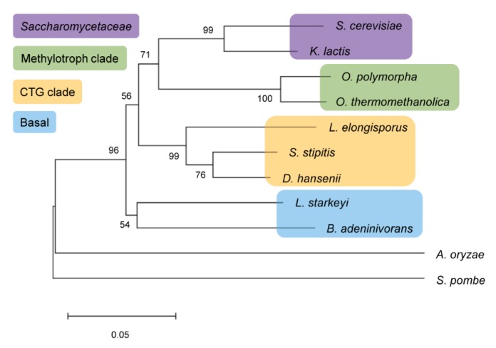 Figure 9