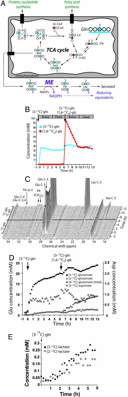 Fig. 4.