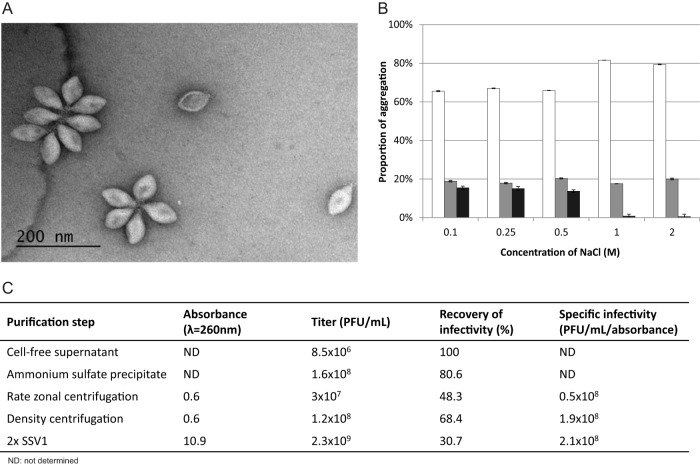 FIG 1