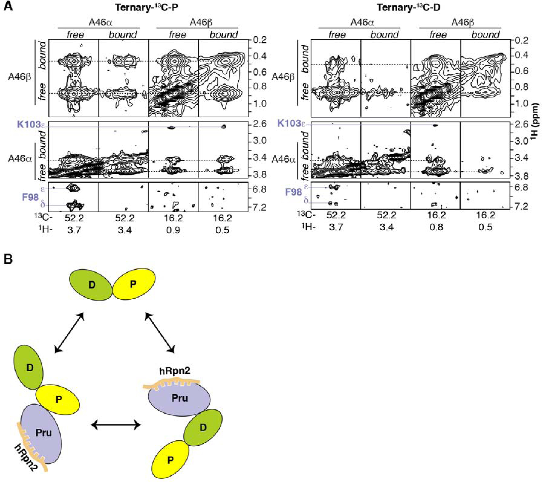 Figure 2.