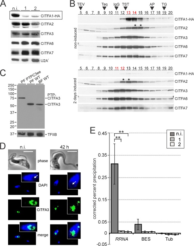 FIG 6