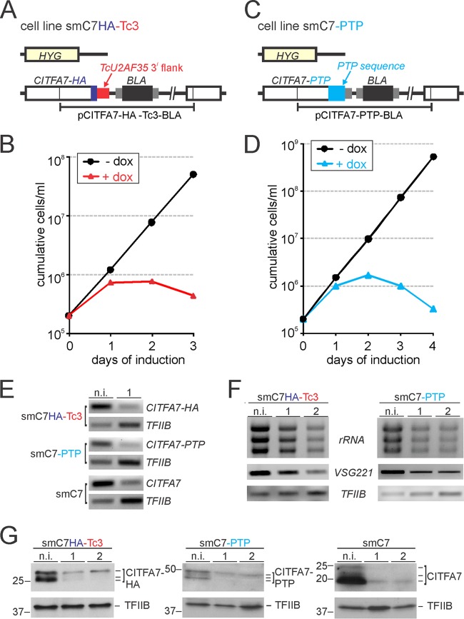 FIG 4