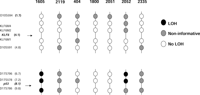 Figure 3: