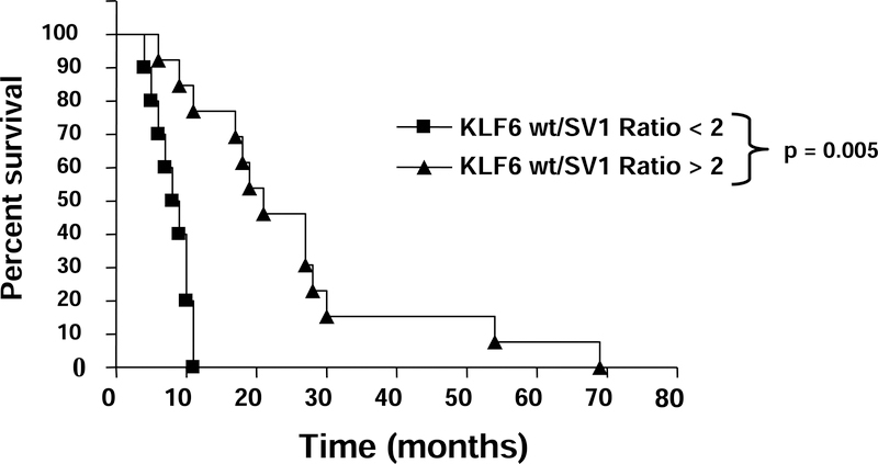 Figure 5: