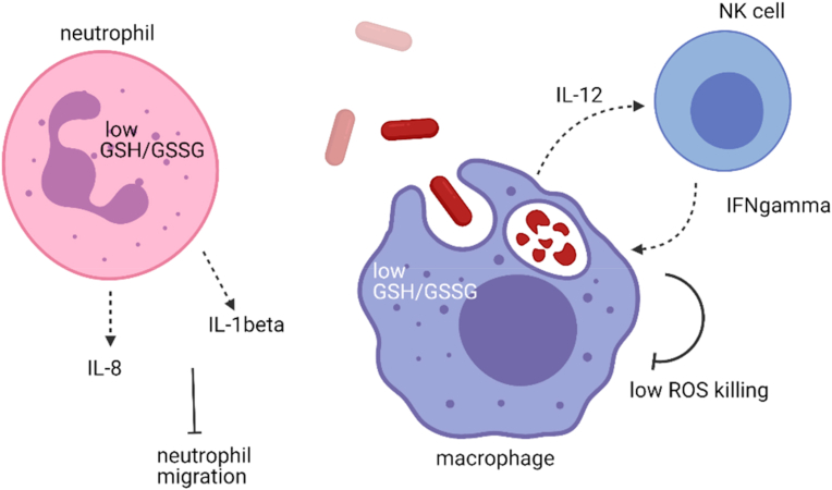 Fig. 2